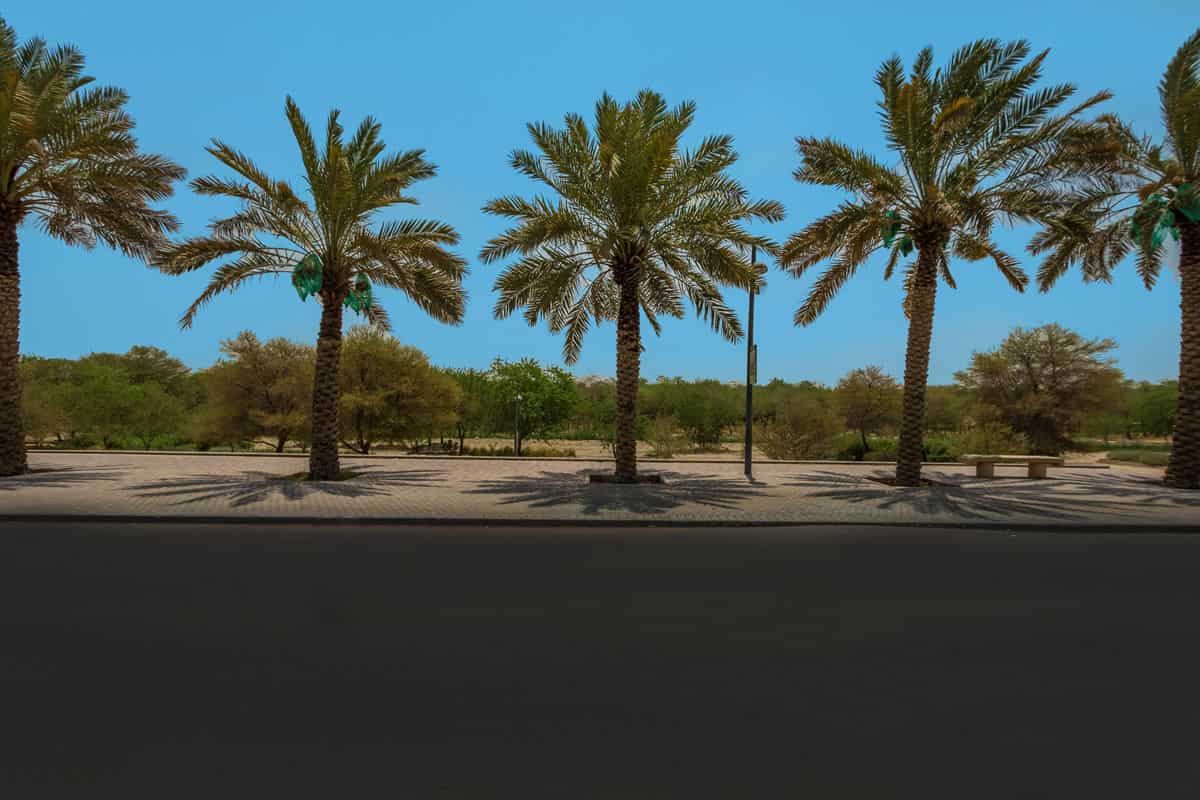 Wadi Hanifah Restoration Project